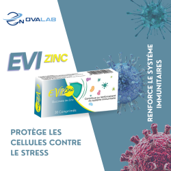EVI ZINC Immunité & Défenses naturelles